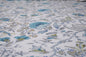 Blue Floral Print Cotton Bedsheet - Emenaura