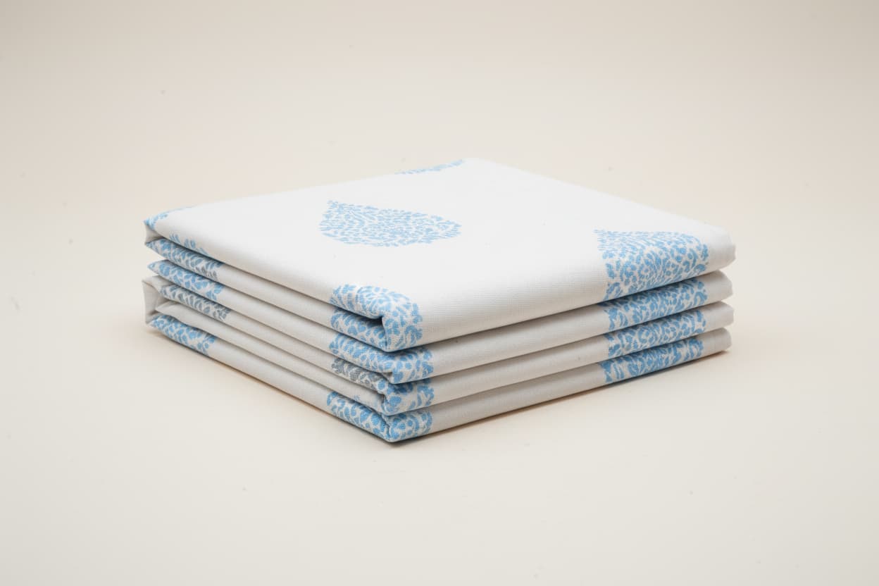 Blue and White block print bedsheet - Emenaura